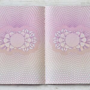 United Kingdom 1998-2008 passport, EC model