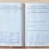 Netherlands passport For sale