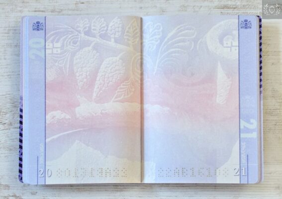  Buy Georgia biometric passport / e-passport