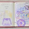 Buy Chile passport + ID card same person